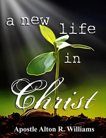 A New Life in Christ PDF